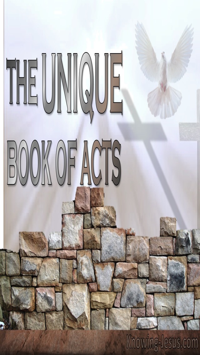 The Unique Book of Acts (devotional)10-29 (beige)